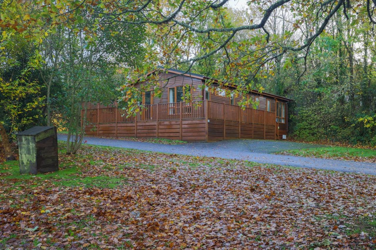 Charming Copse Corner Lodge - Spa Resort - Devon Chudleigh Eksteriør billede